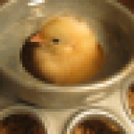 Profile picture of ChickenMom